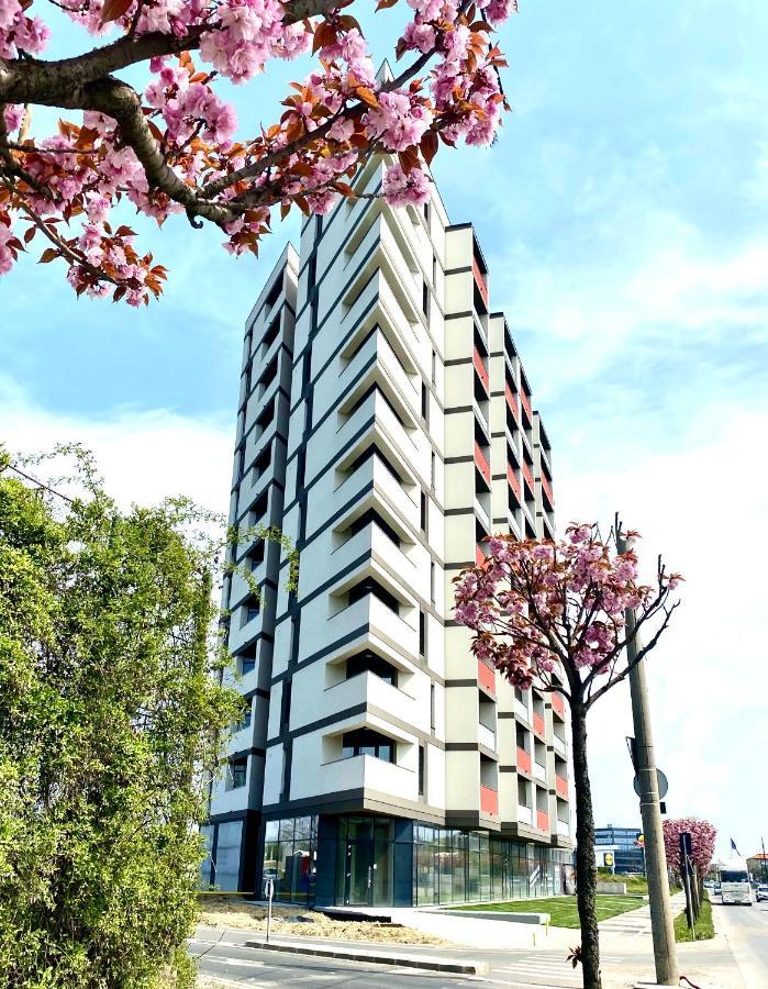 Velvet Home Timişoara Eksteriør bilde